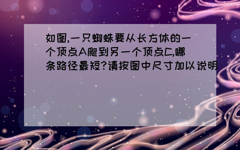 如图,一只蜘蛛要从长方体的一个顶点A爬到另一个顶点C,哪条路径最短?请按图中尺寸加以说明