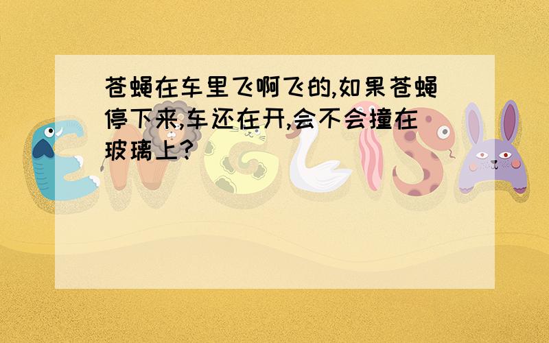 苍蝇在车里飞啊飞的,如果苍蝇停下来,车还在开,会不会撞在玻璃上?