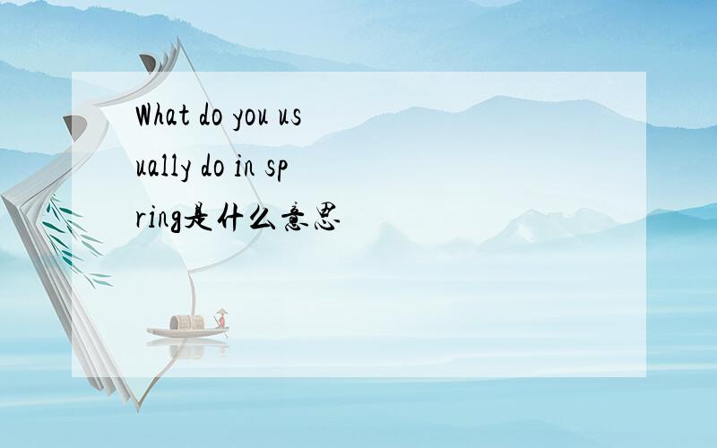 What do you usually do in spring是什么意思