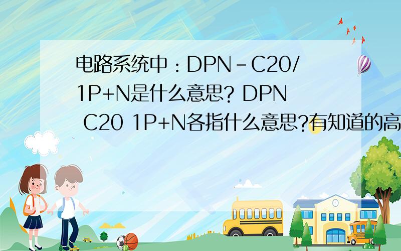 电路系统中：DPN-C20/1P+N是什么意思? DPN C20 1P+N各指什么意思?有知道的高手请告诉我一下,谢谢啦