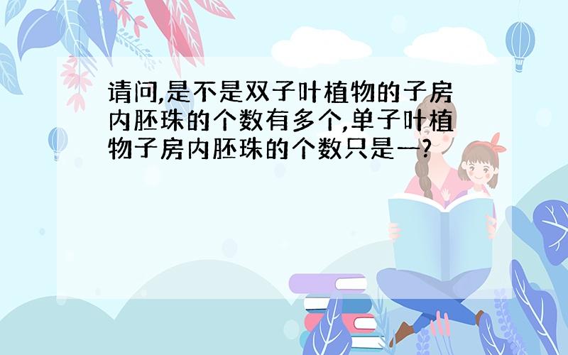 请问,是不是双子叶植物的子房内胚珠的个数有多个,单子叶植物子房内胚珠的个数只是一?