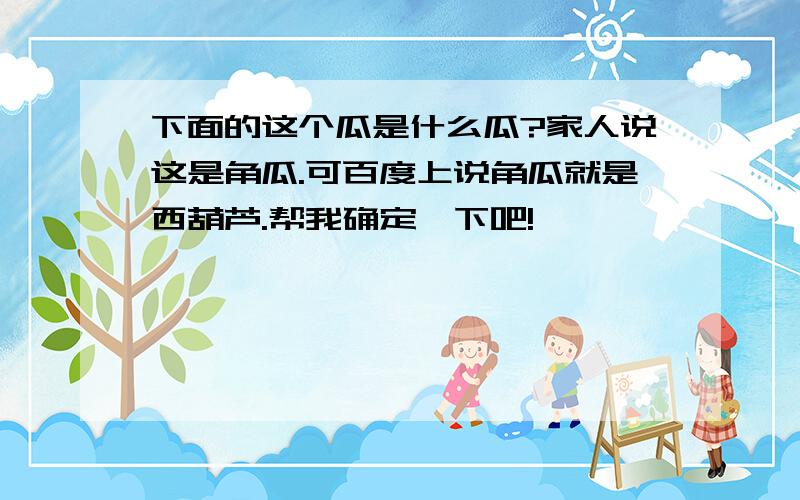 下面的这个瓜是什么瓜?家人说这是角瓜.可百度上说角瓜就是西葫芦.帮我确定一下吧!