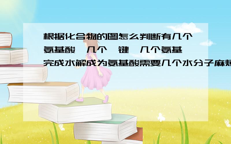 根据化合物的图怎么判断有几个氨基酸,几个肽键,几个氨基,完成水解成为氨基酸需要几个水分子麻烦告诉我