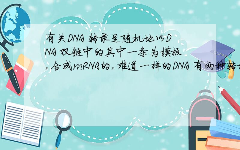 有关DNA 转录是随机地以DNA 双链中的其中一条为模板,合成mRNA的,难道一样的DNA 有两种转录的结果吗?还有个问