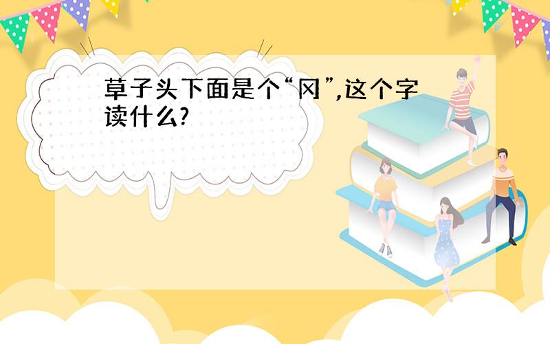 草子头下面是个“冈”,这个字读什么?