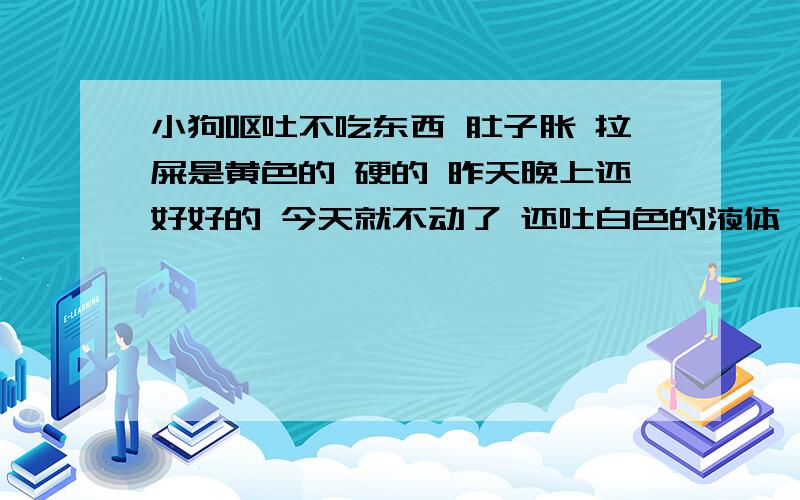 小狗呕吐不吃东西 肚子胀 拉屎是黄色的 硬的 昨天晚上还好好的 今天就不动了 还吐白色的液体,