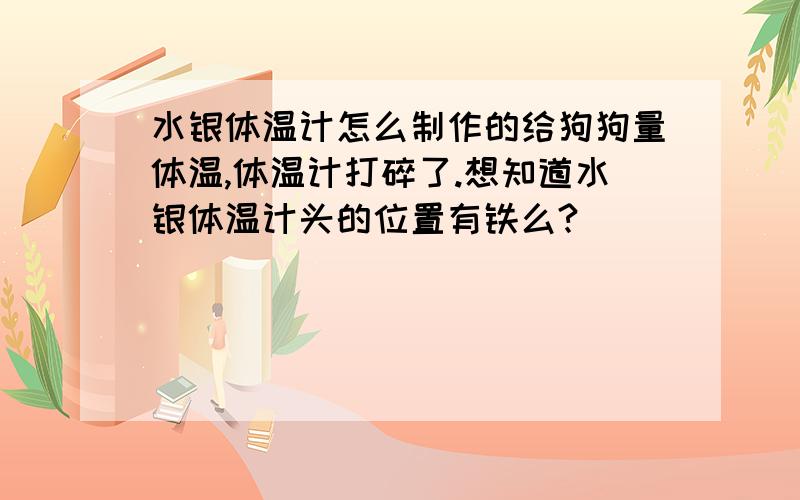 水银体温计怎么制作的给狗狗量体温,体温计打碎了.想知道水银体温计头的位置有铁么?