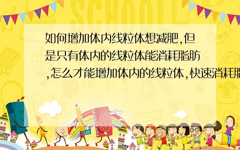 如何增加体内线粒体想减肥,但是只有体内的线粒体能消耗脂肪,怎么才能增加体内的线粒体,快速消耗脂肪呢?