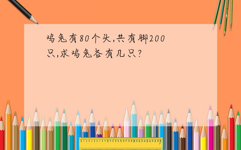 鸡兔有80个头,共有脚200只,求鸡兔各有几只?