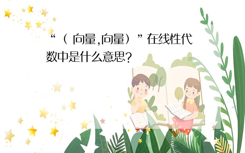 “（ 向量,向量）”在线性代数中是什么意思?