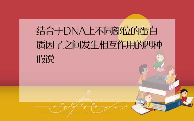 结合于DNA上不同部位的蛋白质因子之间发生相互作用的四种假说