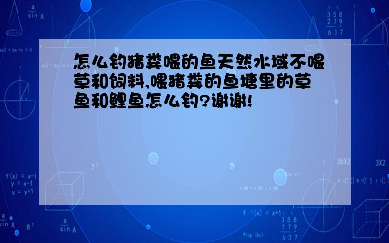 怎么钓猪粪喂的鱼天然水域不喂草和饲料,喂猪粪的鱼塘里的草鱼和鲤鱼怎么钓?谢谢!