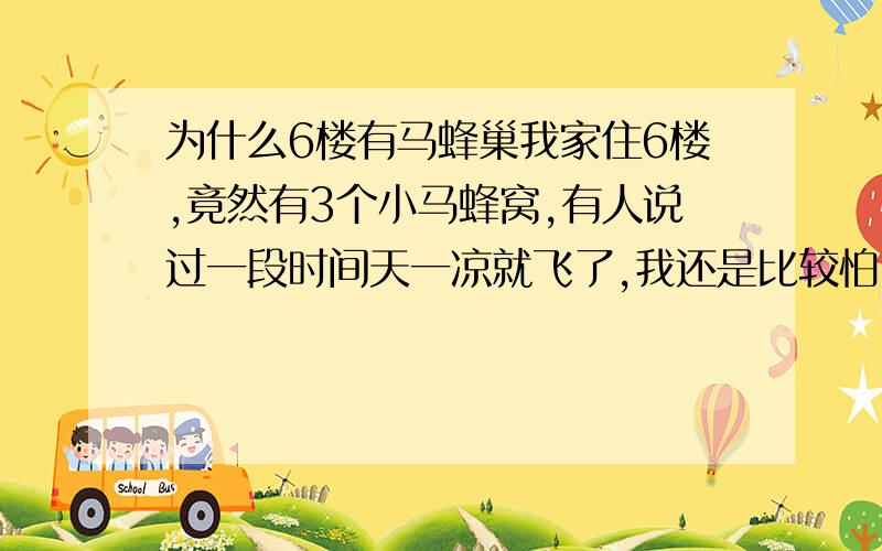 为什么6楼有马蜂巢我家住6楼,竟然有3个小马蜂窝,有人说过一段时间天一凉就飞了,我还是比较怕,窗户都不敢开,还有为什么6