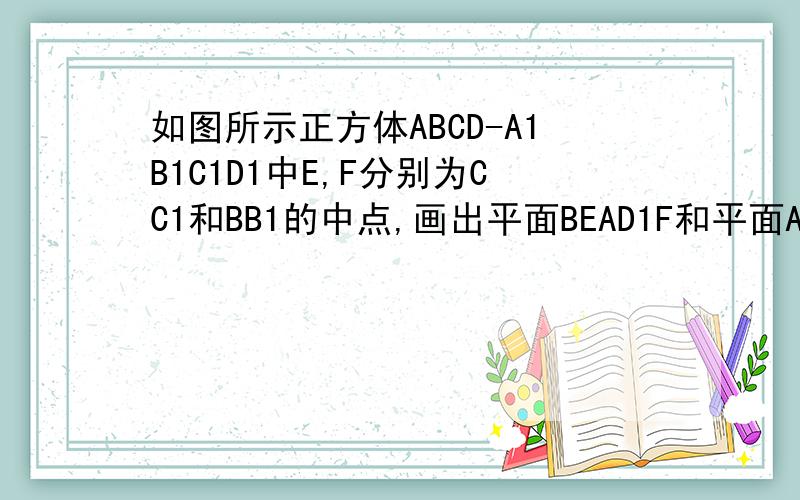 如图所示正方体ABCD-A1B1C1D1中E,F分别为CC1和BB1的中点,画出平面BEAD1F和平面ABC的交线