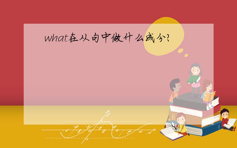 what在从句中做什么成分？