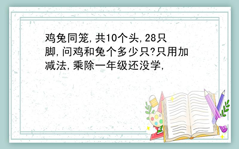 鸡兔同笼,共10个头,28只脚,问鸡和兔个多少只?只用加减法,乘除一年级还没学,