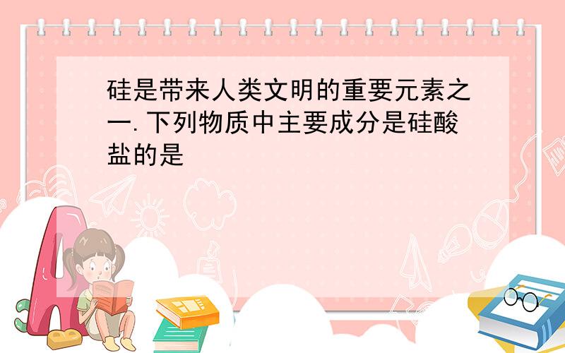 硅是带来人类文明的重要元素之一.下列物质中主要成分是硅酸盐的是