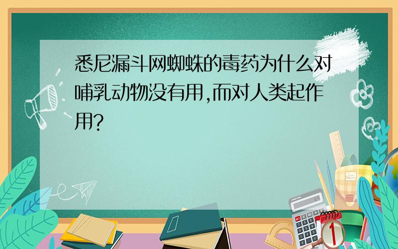 悉尼漏斗网蜘蛛的毒药为什么对哺乳动物没有用,而对人类起作用?