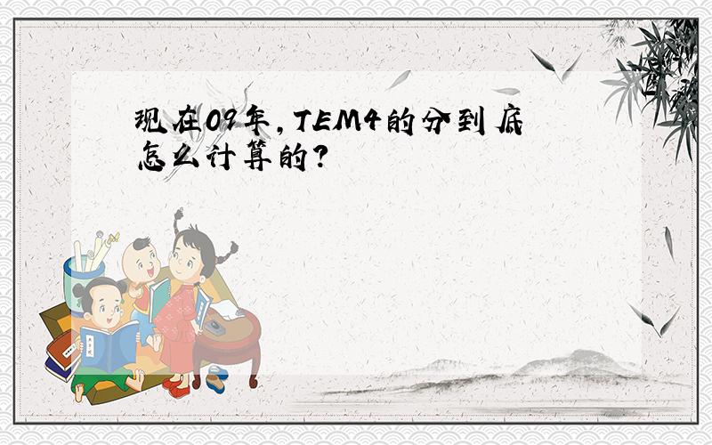 现在09年,TEM4的分到底怎么计算的?