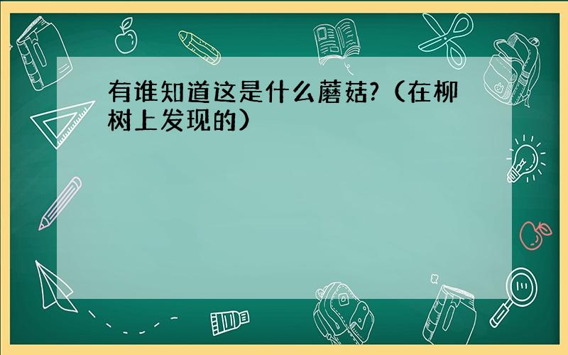 有谁知道这是什么蘑菇?（在柳树上发现的）