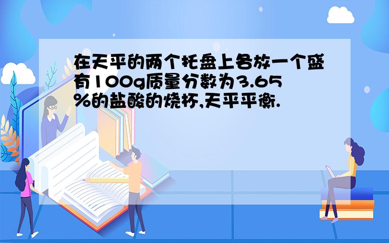 在天平的两个托盘上各放一个盛有100g质量分数为3.65％的盐酸的烧杯,天平平衡.