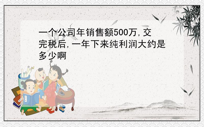 一个公司年销售额500万,交完税后,一年下来纯利润大约是多少啊