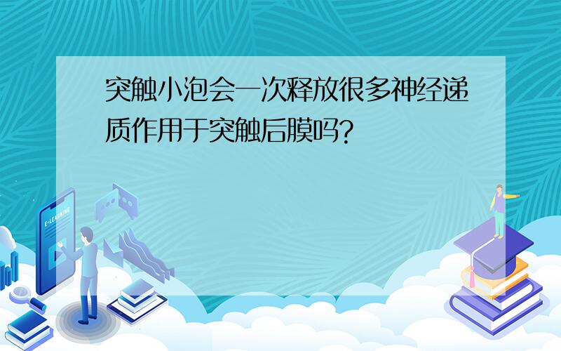 突触小泡会一次释放很多神经递质作用于突触后膜吗?