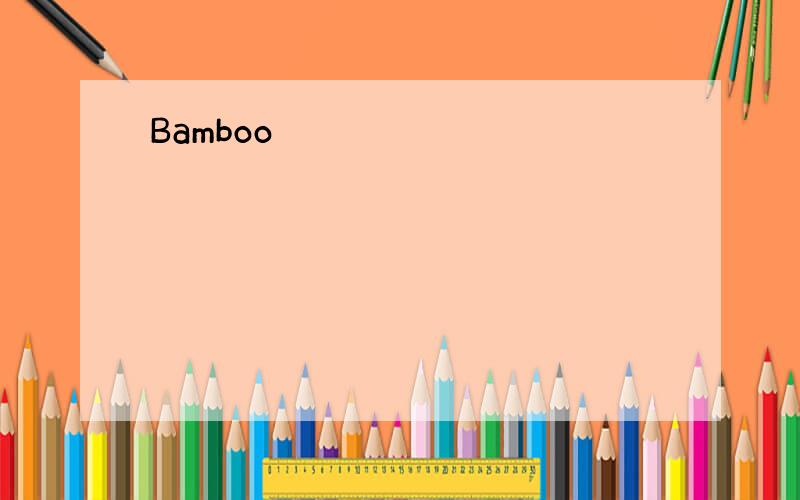 Bamboo