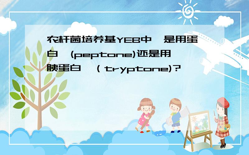 农杆菌培养基YEB中,是用蛋白胨(peptone)还是用胰蛋白胨（tryptone)?