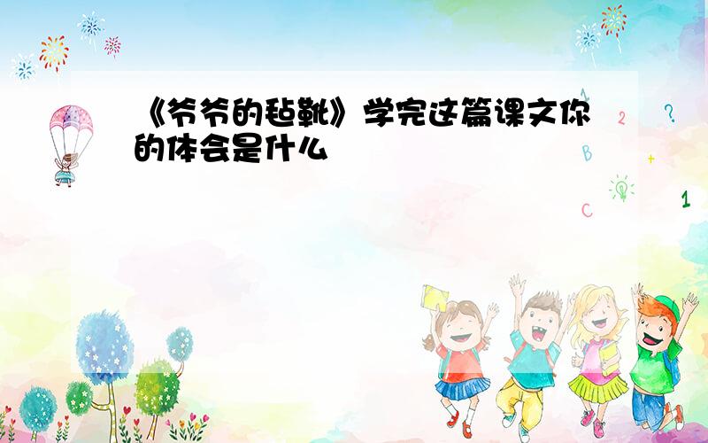 《爷爷的毡靴》学完这篇课文你的体会是什么