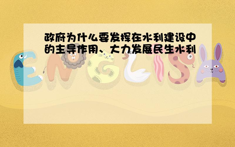 政府为什么要发挥在水利建设中的主导作用、大力发展民生水利