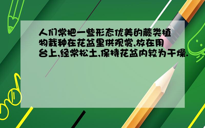 人们常把一些形态优美的蕨类植物栽种在花盆里供观赏,放在用台上,经常松土,保持花盆内较为干燥.