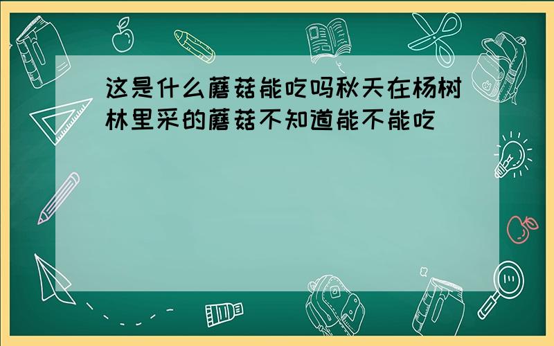 这是什么蘑菇能吃吗秋天在杨树林里采的蘑菇不知道能不能吃