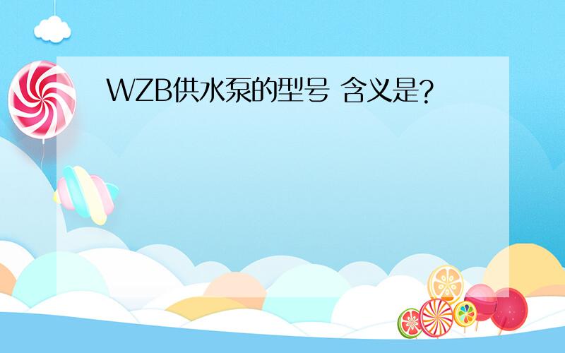 WZB供水泵的型号 含义是?