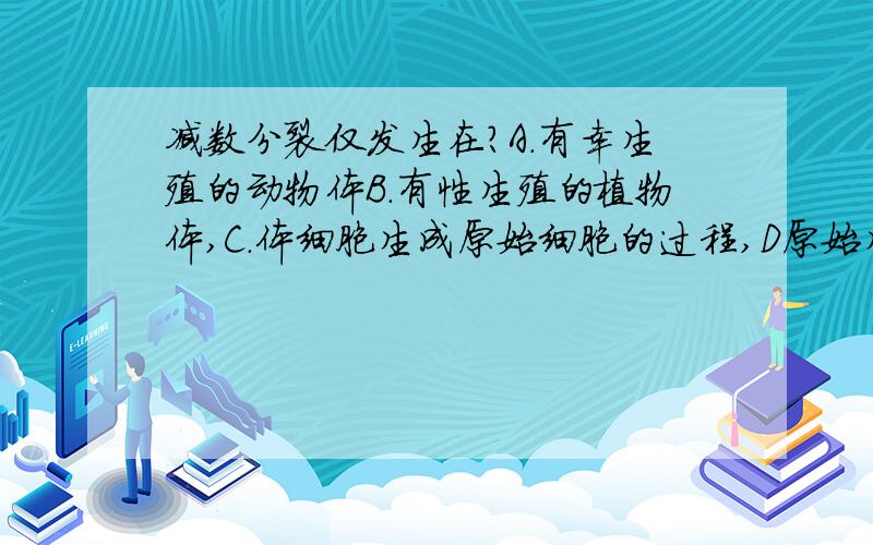 减数分裂仅发生在?A.有幸生殖的动物体B.有性生殖的植物体,C.体细胞生成原始细胞的过程,D原始生物细胞发育成成熟生殖细