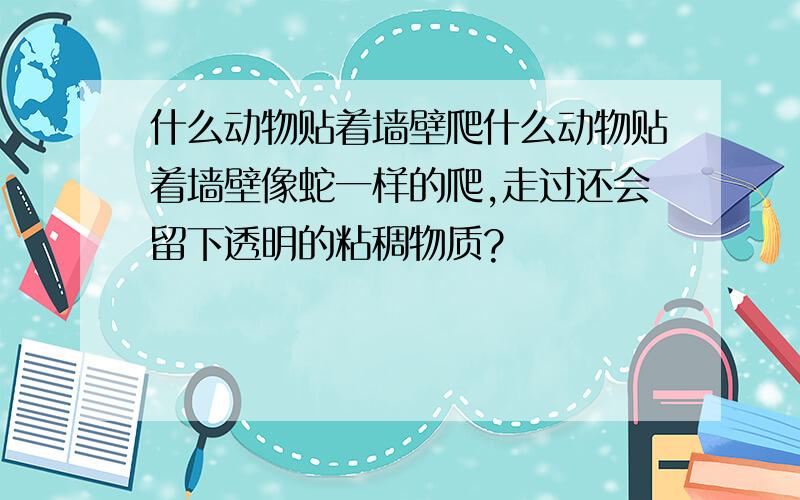 什么动物贴着墙壁爬什么动物贴着墙壁像蛇一样的爬,走过还会留下透明的粘稠物质?