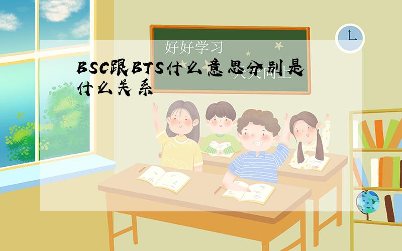 BSC跟BTS什么意思分别是什么关系