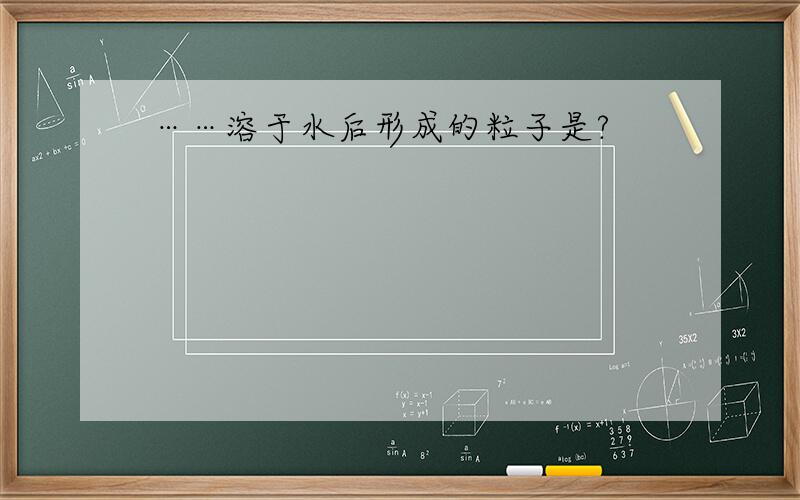 ……溶于水后形成的粒子是?