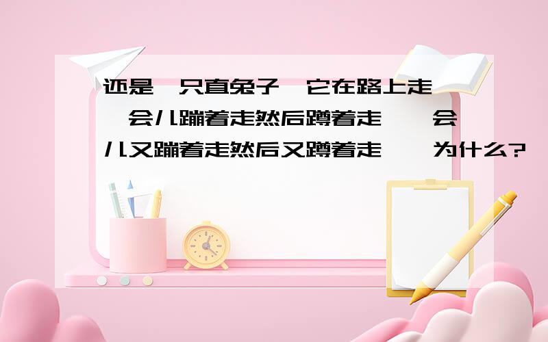 还是一只直兔子,它在路上走,一会儿蹦着走然后蹲着走,一会儿又蹦着走然后又蹲着走……为什么?