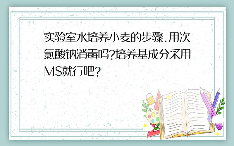 实验室水培养小麦的步骤.用次氯酸钠消毒吗?培养基成分采用MS就行吧?