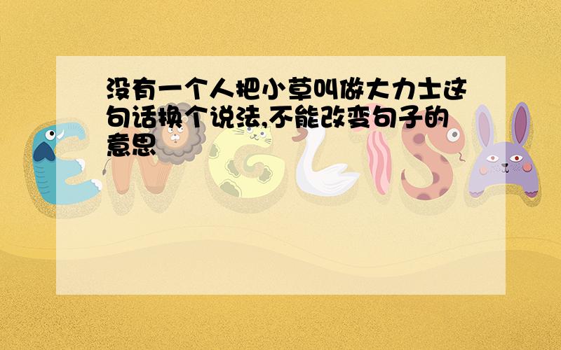 没有一个人把小草叫做大力士这句话换个说法,不能改变句子的意思