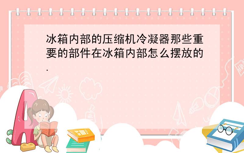 冰箱内部的压缩机冷凝器那些重要的部件在冰箱内部怎么摆放的.