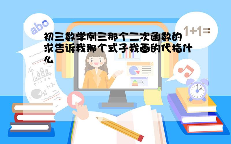 初三数学例三那个二次函数的 求告诉我那个式子我画的代指什么