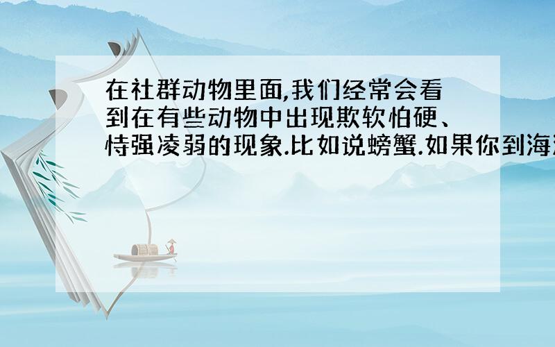 在社群动物里面,我们经常会看到在有些动物中出现欺软怕硬、恃强凌弱的现象.比如说螃蟹.如果你到海滩上观察螃蟹,尤其是螃蟹大