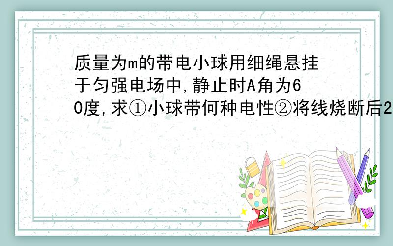 质量为m的带电小球用细绳悬挂于匀强电场中,静止时A角为60度,求①小球带何种电性②将线烧断后2s小球速度顿大?