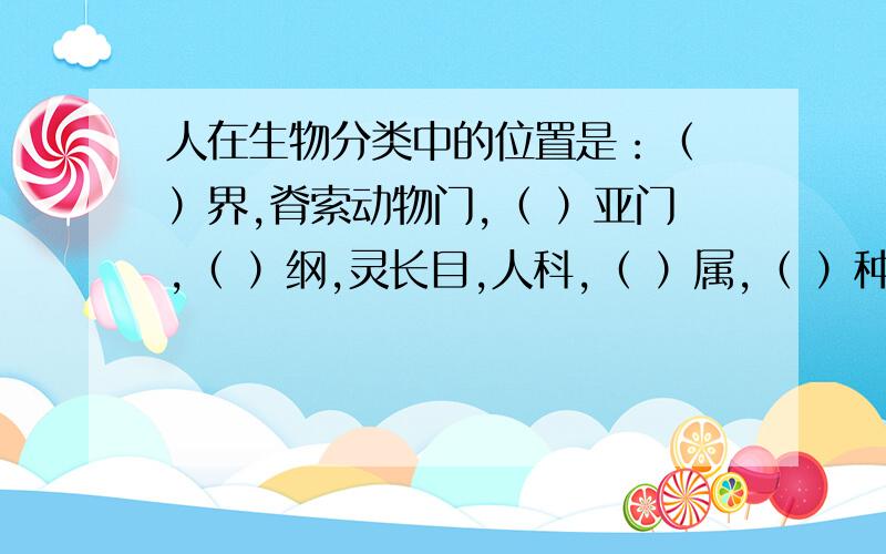 人在生物分类中的位置是：（ ）界,脊索动物门,（ ）亚门,（ ）纲,灵长目,人科,（ ）属,（ ）种