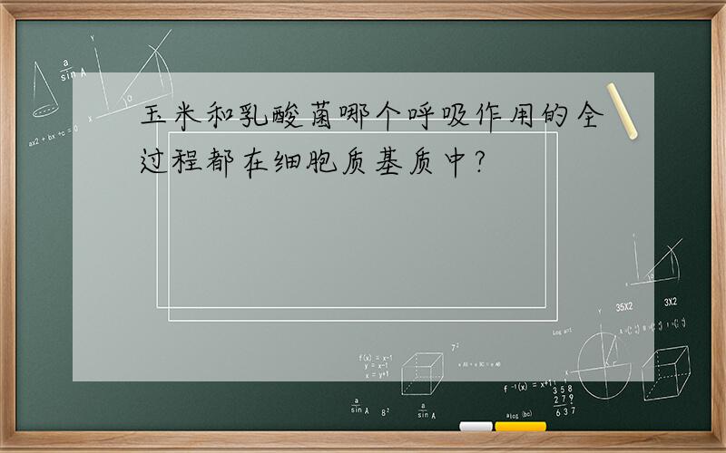 玉米和乳酸菌哪个呼吸作用的全过程都在细胞质基质中?