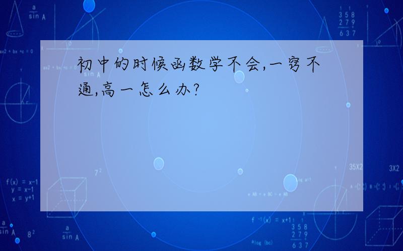 初中的时候函数学不会,一窍不通,高一怎么办?