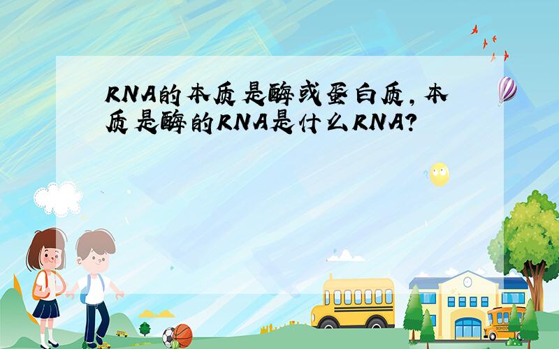 RNA的本质是酶或蛋白质,本质是酶的RNA是什么RNA?