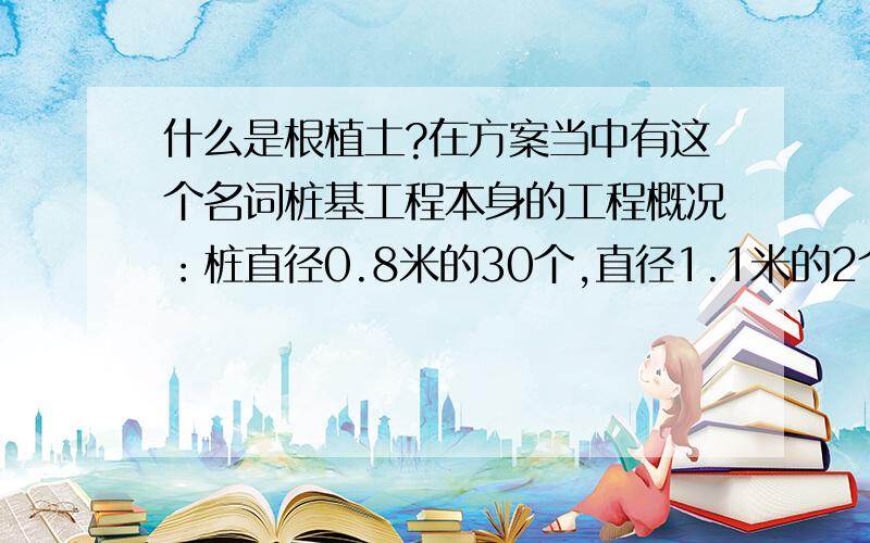 什么是根植土?在方案当中有这个名词桩基工程本身的工程概况：桩直径0.8米的30个,直径1.1米的2个,直径